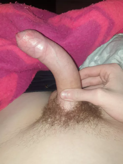 Big bushy cock. What do you think? NFSW