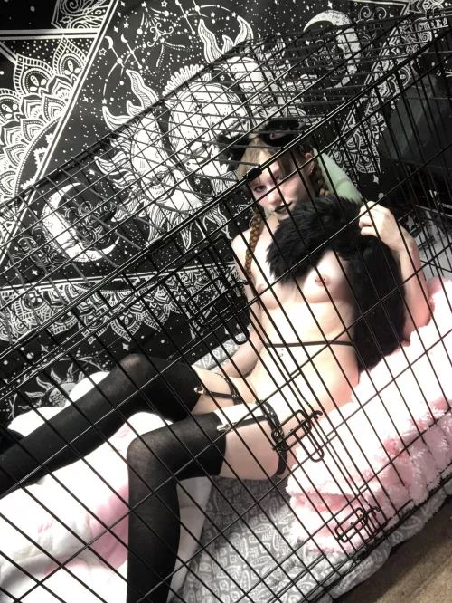 Big fluffy tail🖤🥰