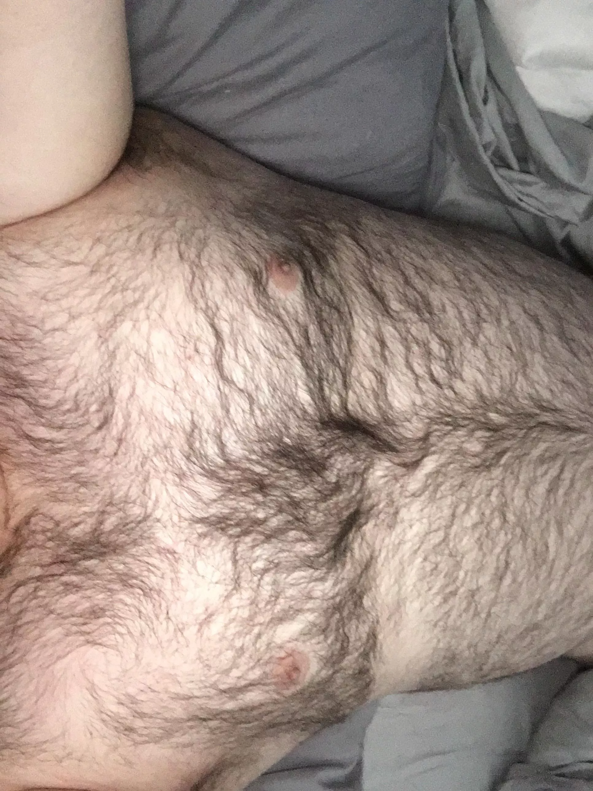Big, hairy and cuddly