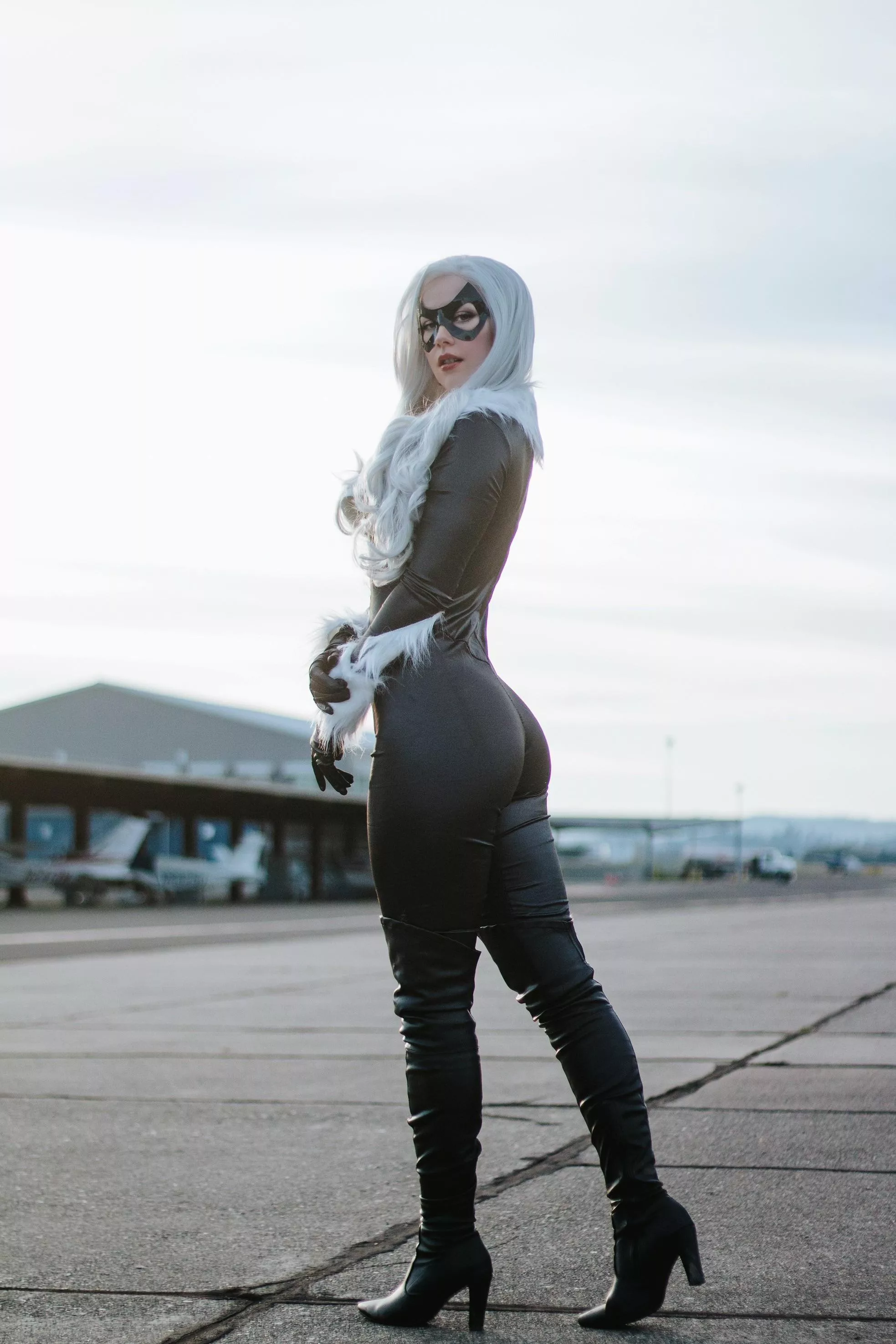 Black Cat by emdavfro