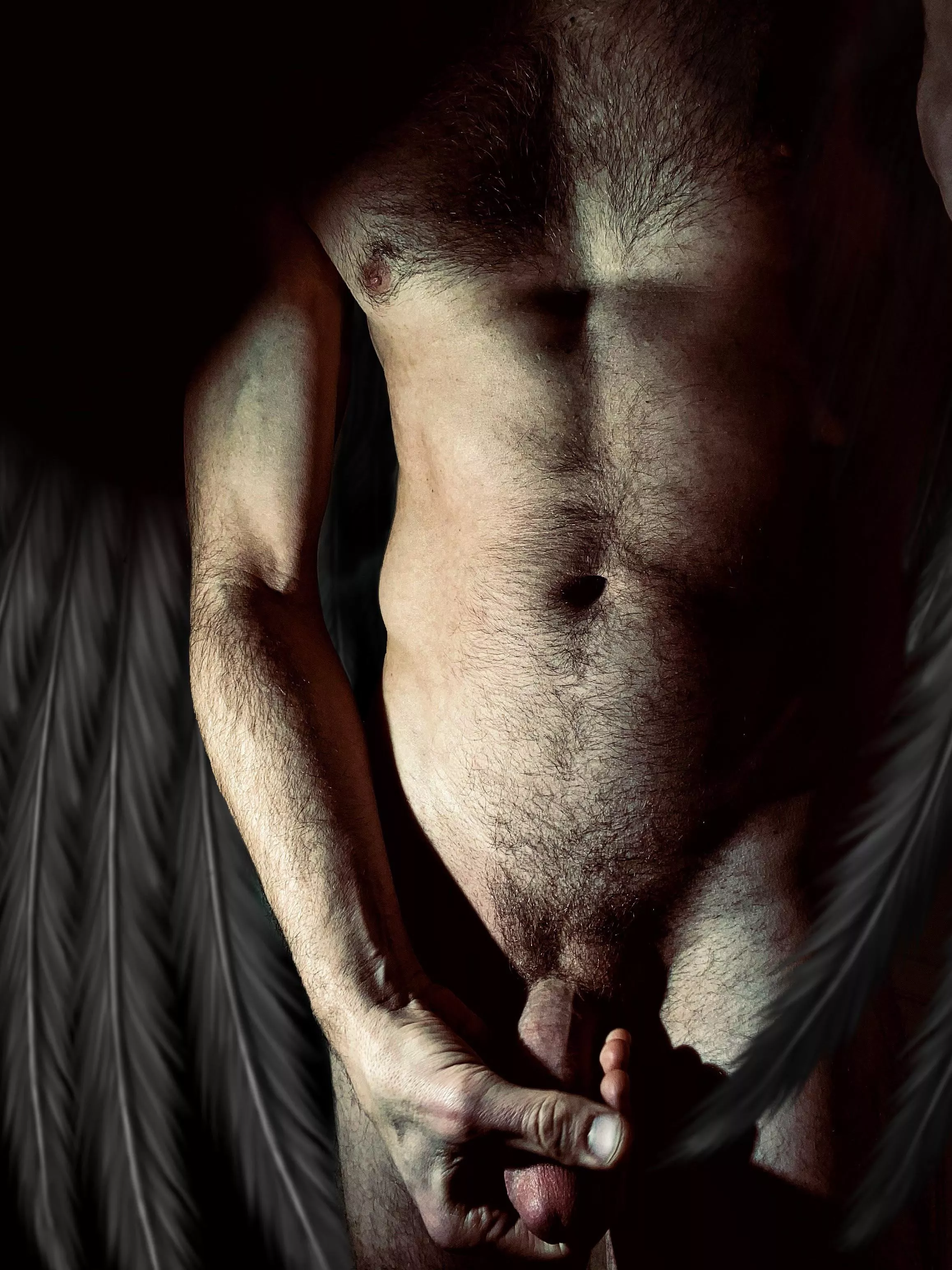 Blackbird singing in the dead of night ...