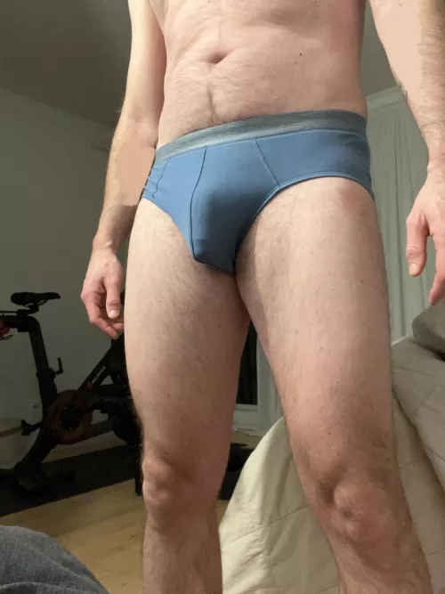 blue briefs