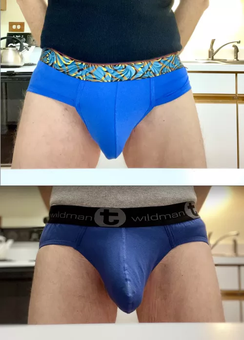 Blue Krakatoa Briefs VS Blue WildmanT Briefs. Which Do You Like Better?