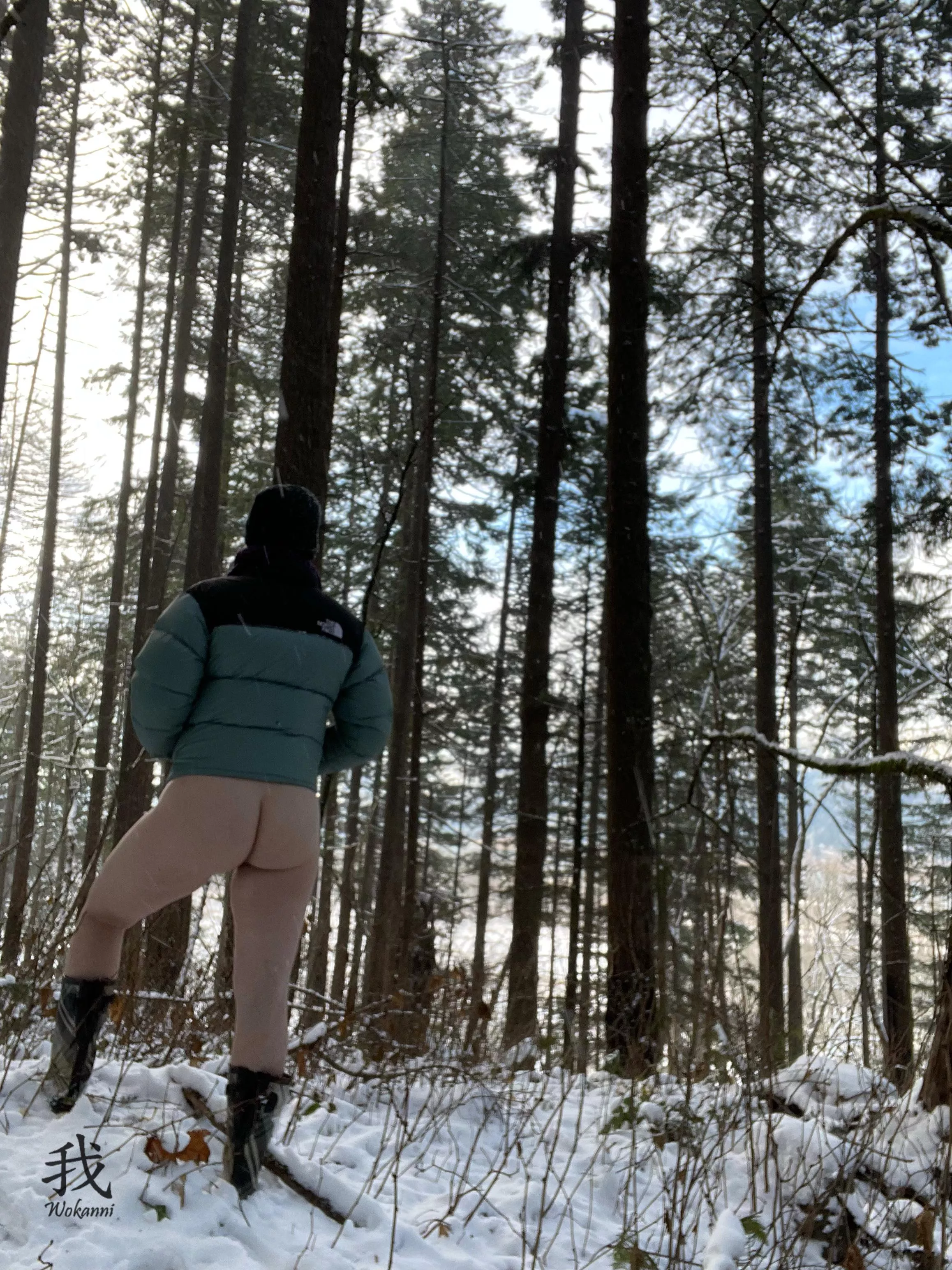 Blue Skies of Winter