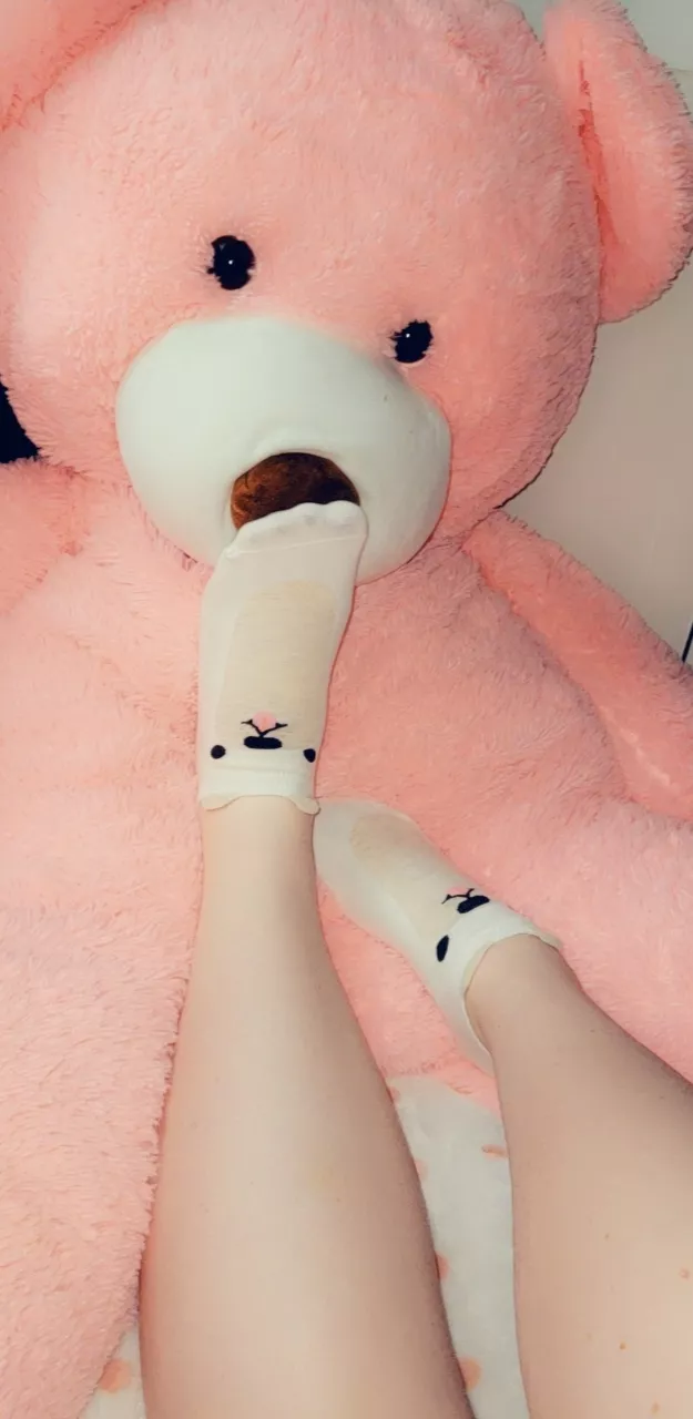 Boop the snoot ☺💕🐻