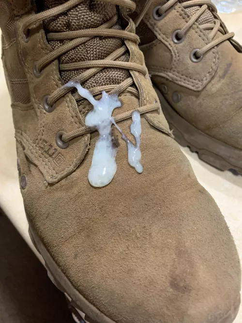 Boot polish