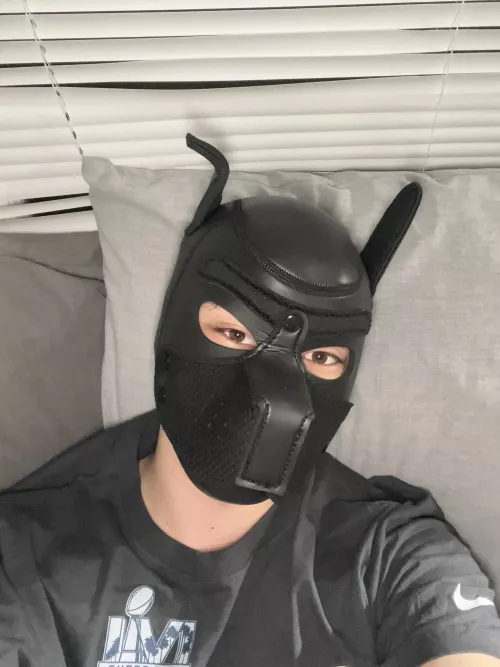 Bored young pup. How’s everyones evenings going? (21M)