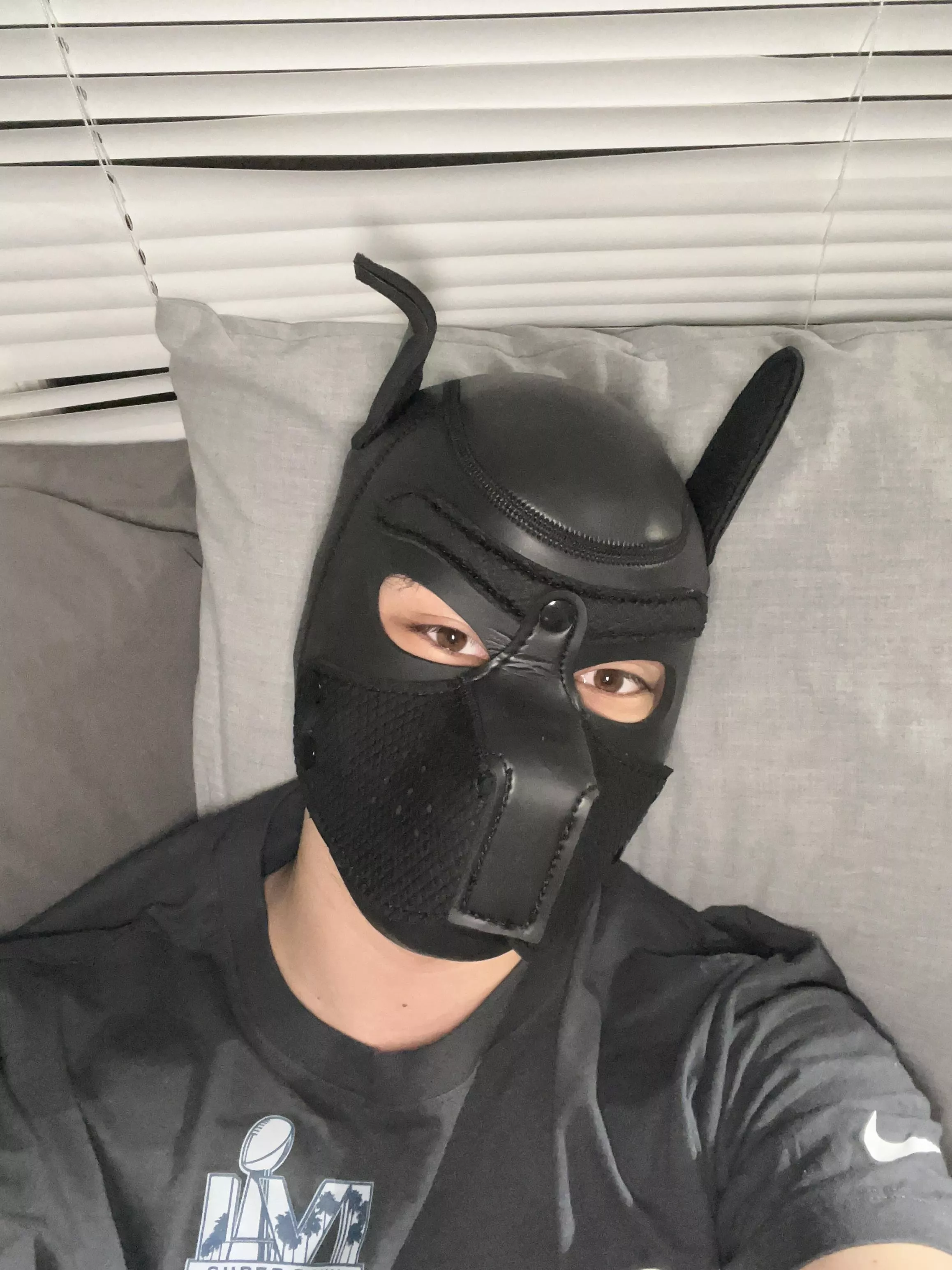 Bored young pup. How’s everyones evenings going? (21M)