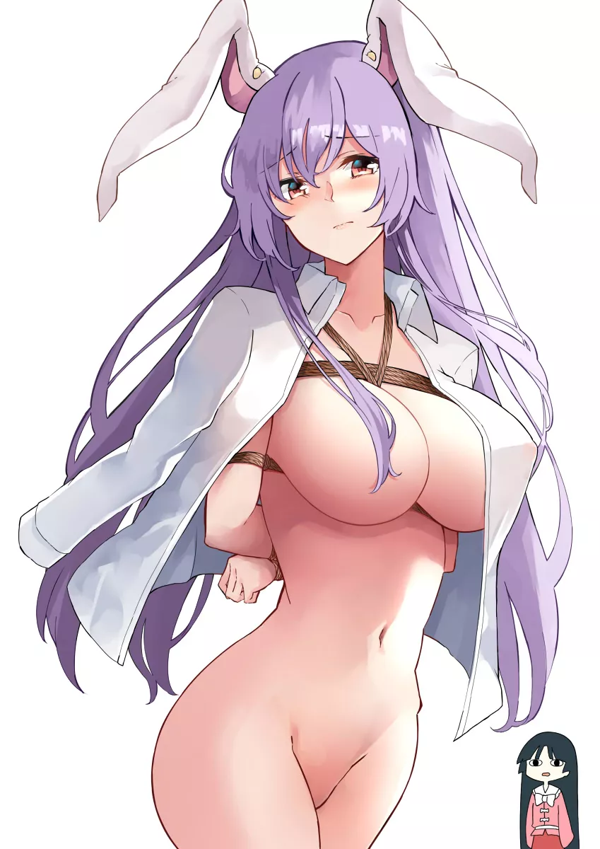 Bound bunny Bound bunny