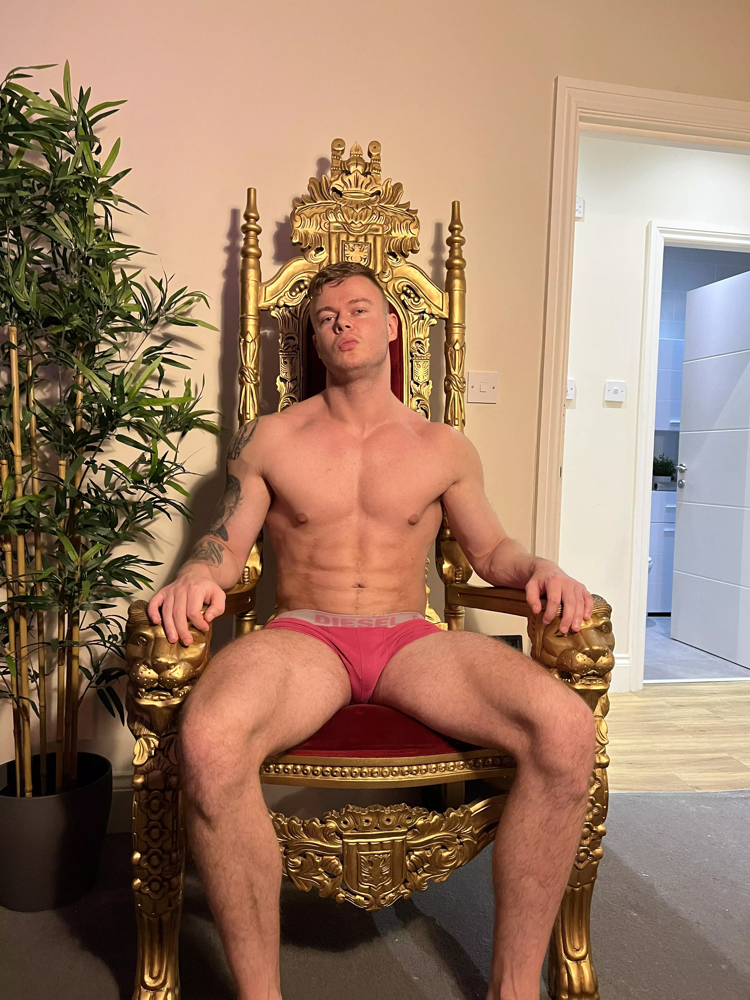 Bow to me? Bow to me?