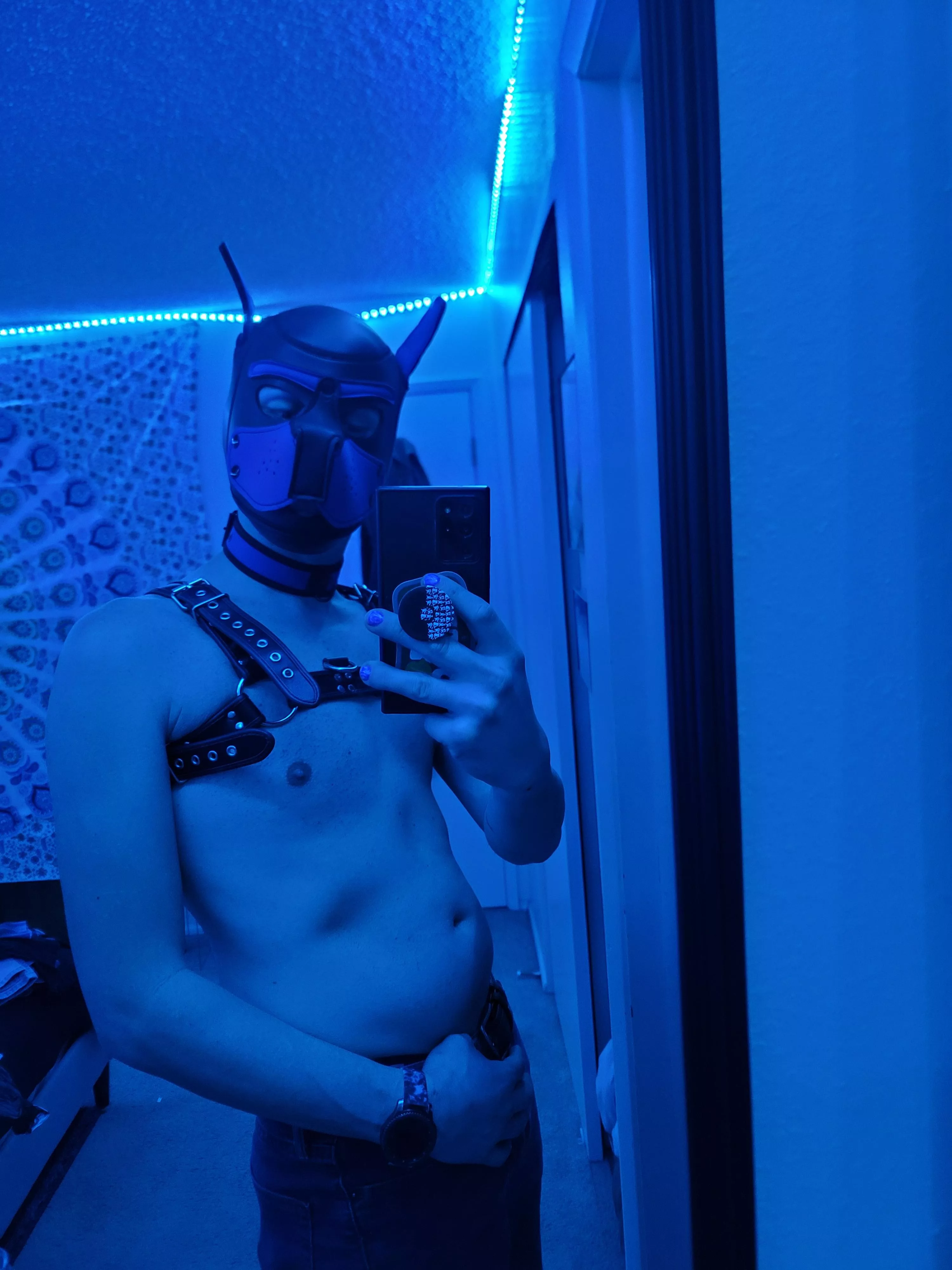 Brand new pup here! Feeling free and so, so happy RN... I'm ready to get ruff 😜🐶