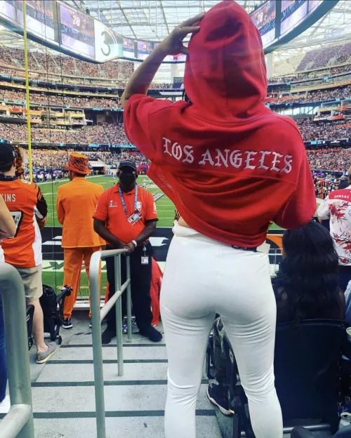 Brie Bella’s Ass 🍑