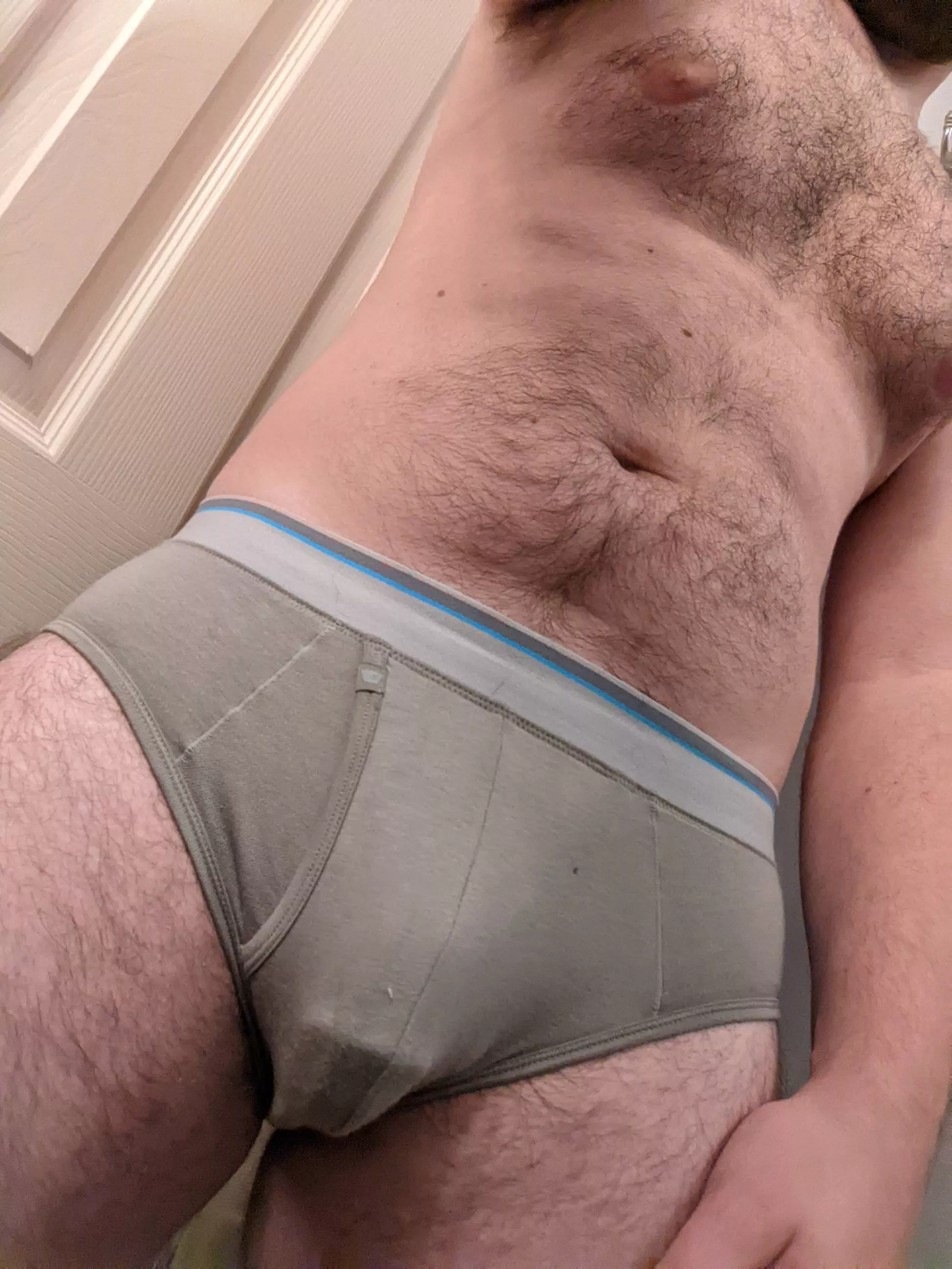 Brief Bulge