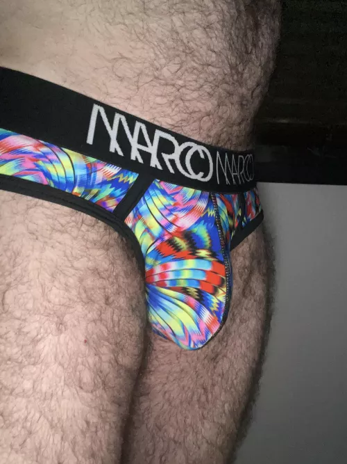 Briefs