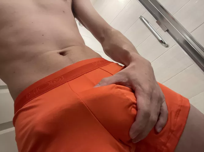Bright orange boxers be like: I highlighted the important section in orange. 😂