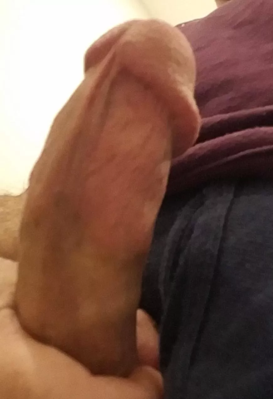 Bringing out the Yuletide log [40]