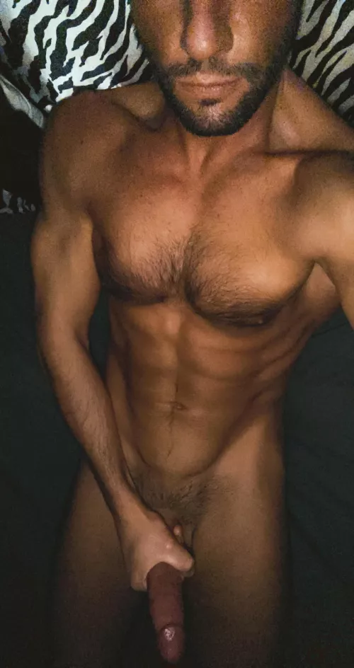Bronze bod