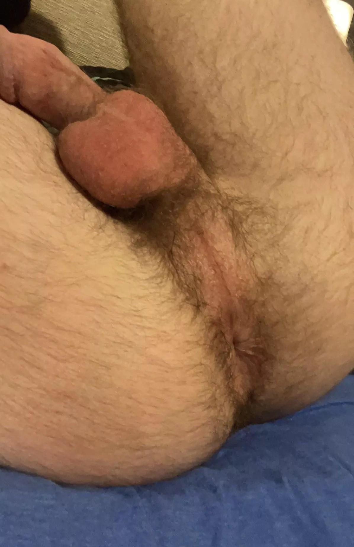 bros tease each other’s hairy holes