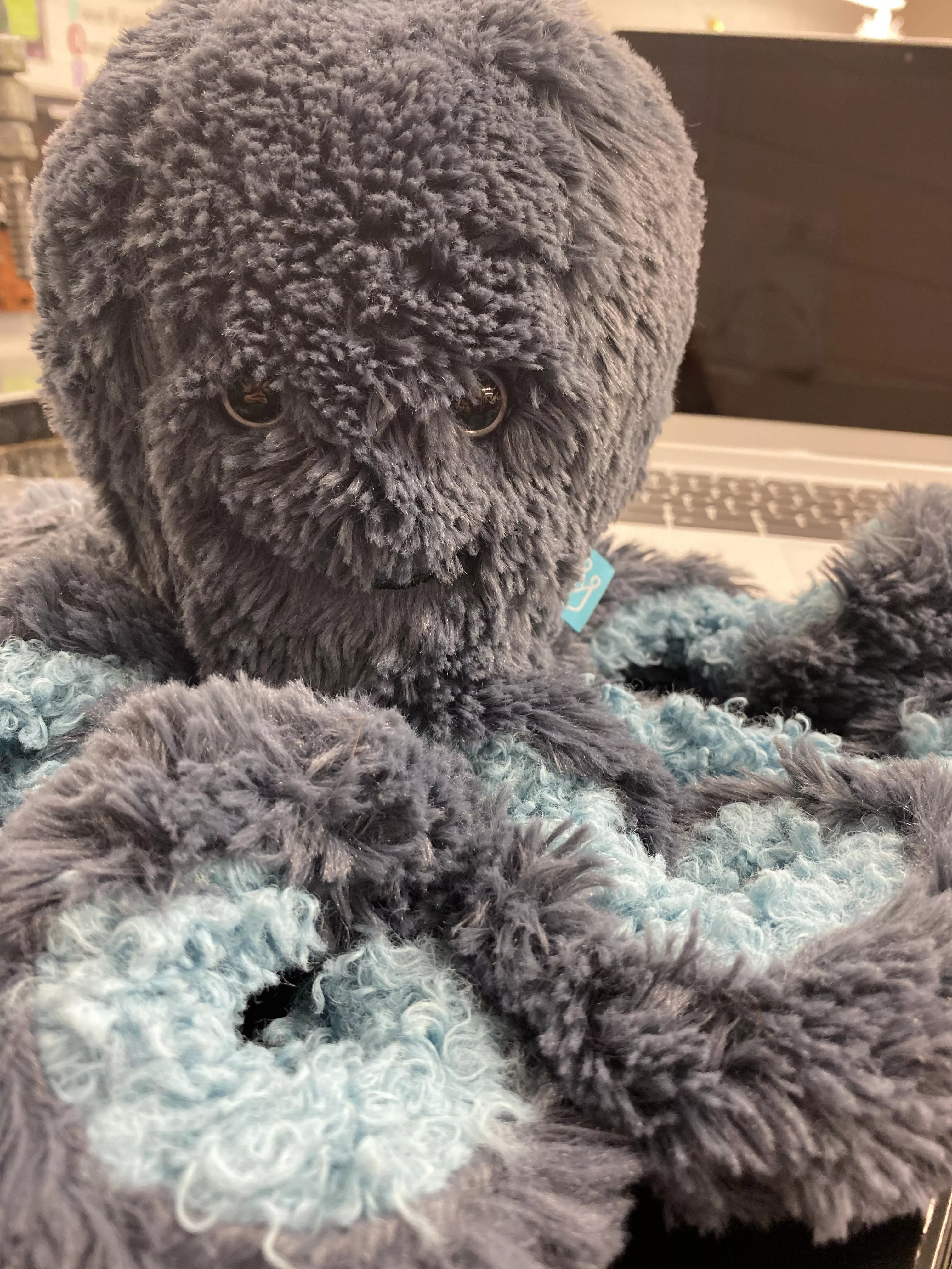 Brought my plushie along with me for the day 🥰🥰