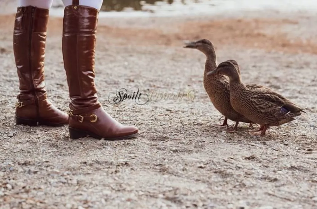 Brown leather riding boots even these ducks admire them 😁