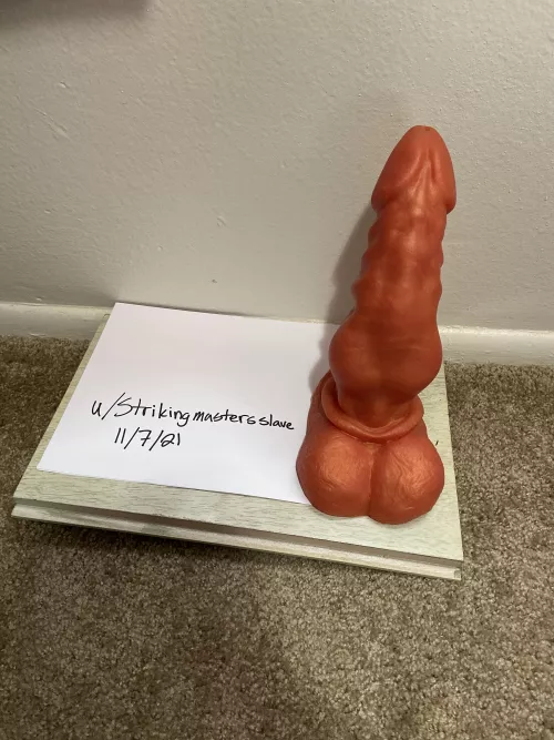 Bruiser medium firmness size is large color is taurus$120 or best offer used once was just too much for me ( boiled for safety before sent out)