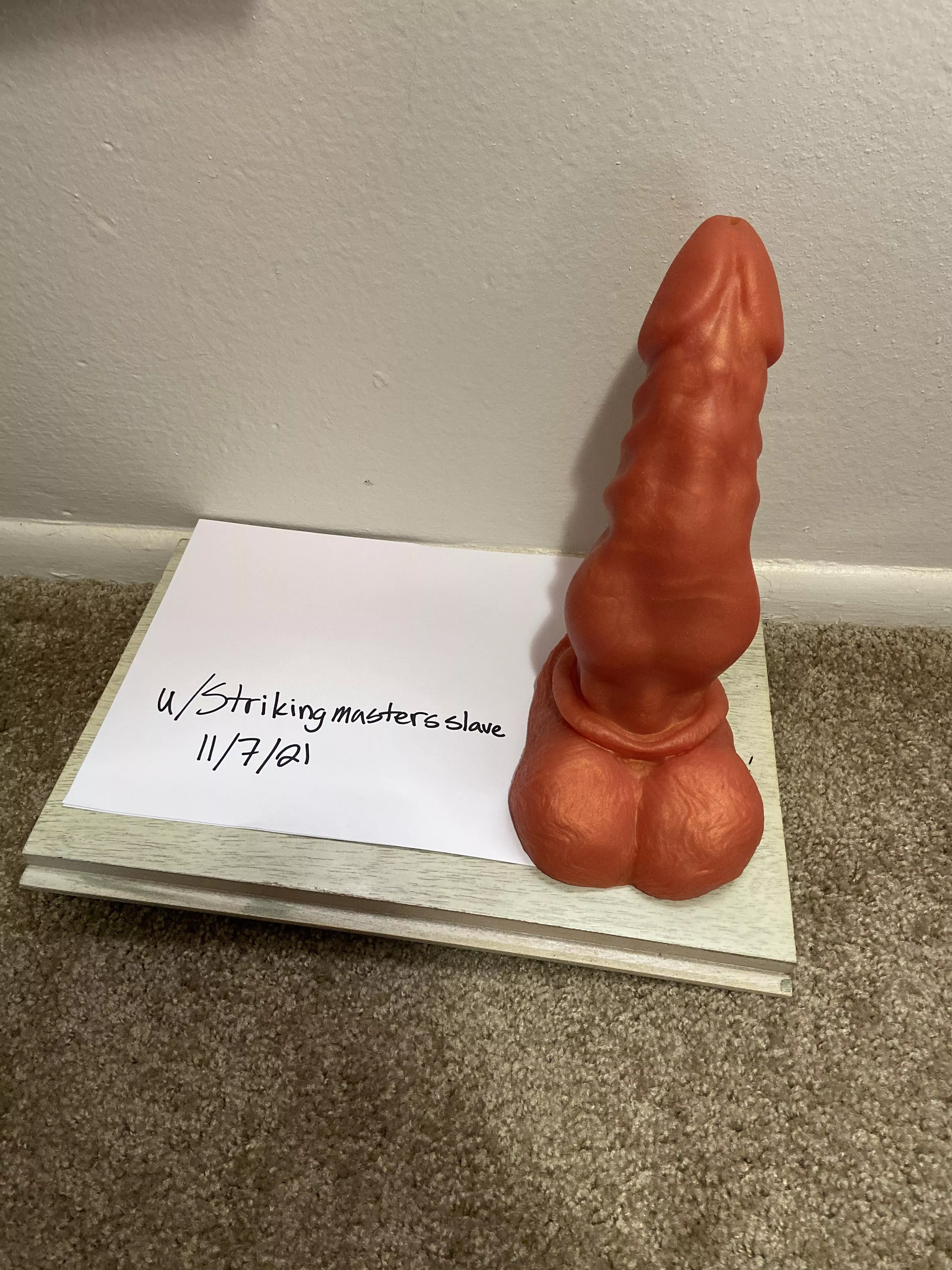 Bruiser medium firmness size is large color is taurus$120 or best offer used once was just too much for me ( boiled for safety before sent out) Bruiser medium firmness size is large color is taurus$120 or best offer used once was just too much for me ( boiled for safety before sent out)