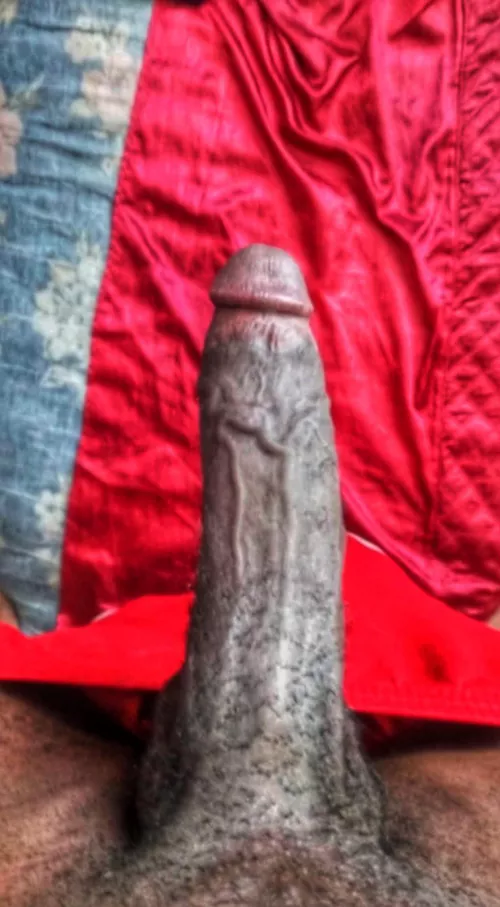 Bull in Heat 🍆