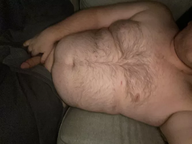 Bull looking for a new toy tonight