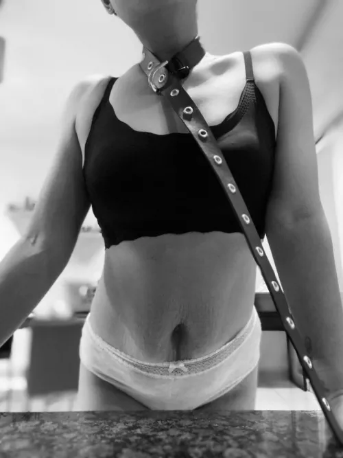 Bull said that my asian wife is a naughty used old dog and needs to be trained. Then I begged him to train her properly