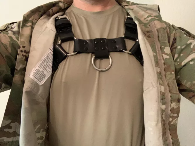 Bulldog harness under my uniform (twitter in comments)