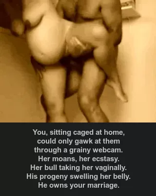 Bulls mate, cucks bate (if they're lucky) Bulls mate, cucks bate (if they're lucky)