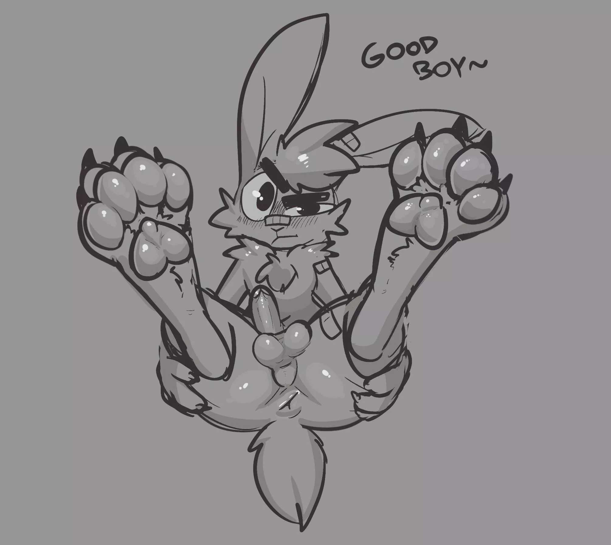 Bunny pawbs(oc)