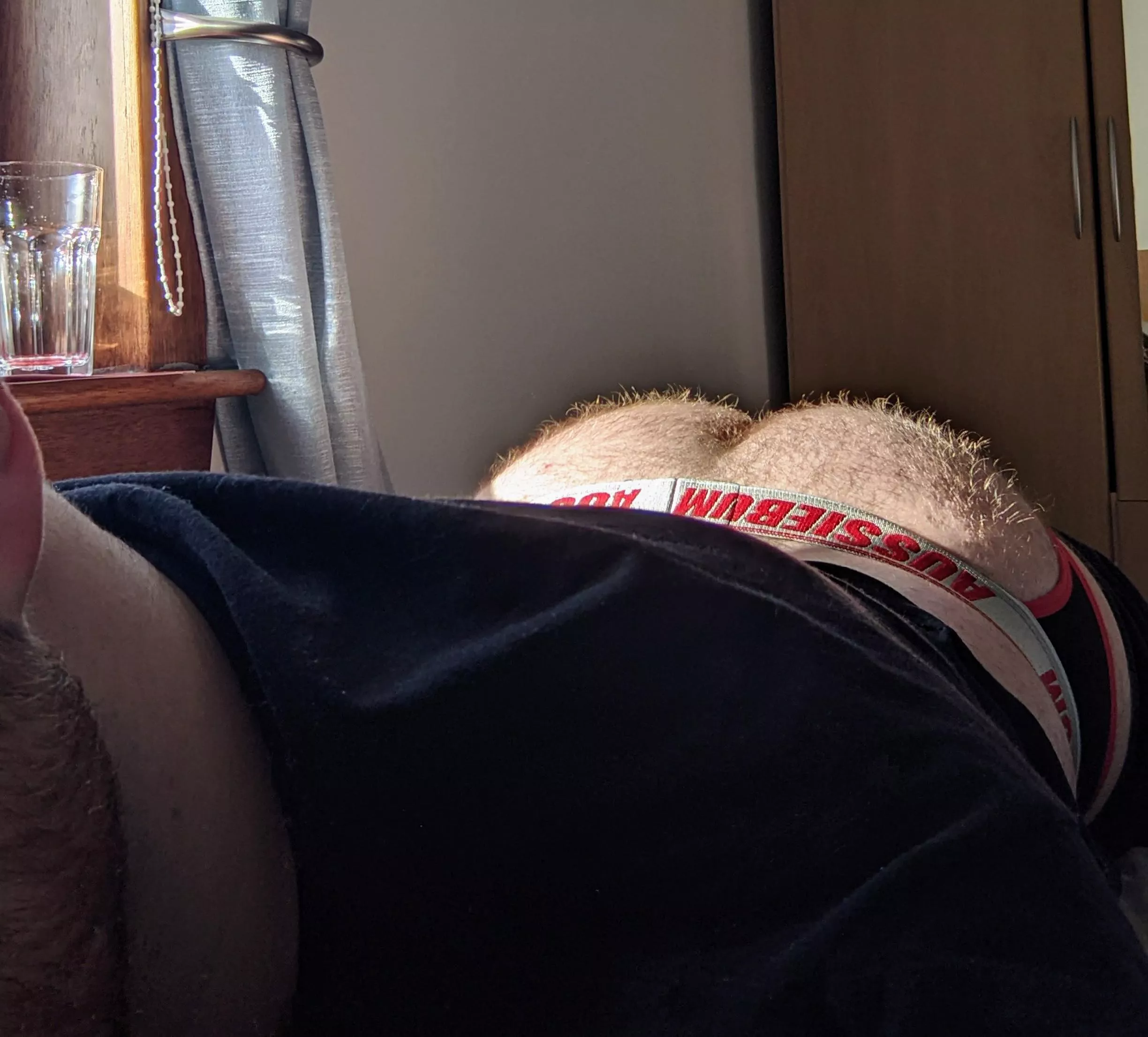 buns in the sun, a rare winter sight 🥹