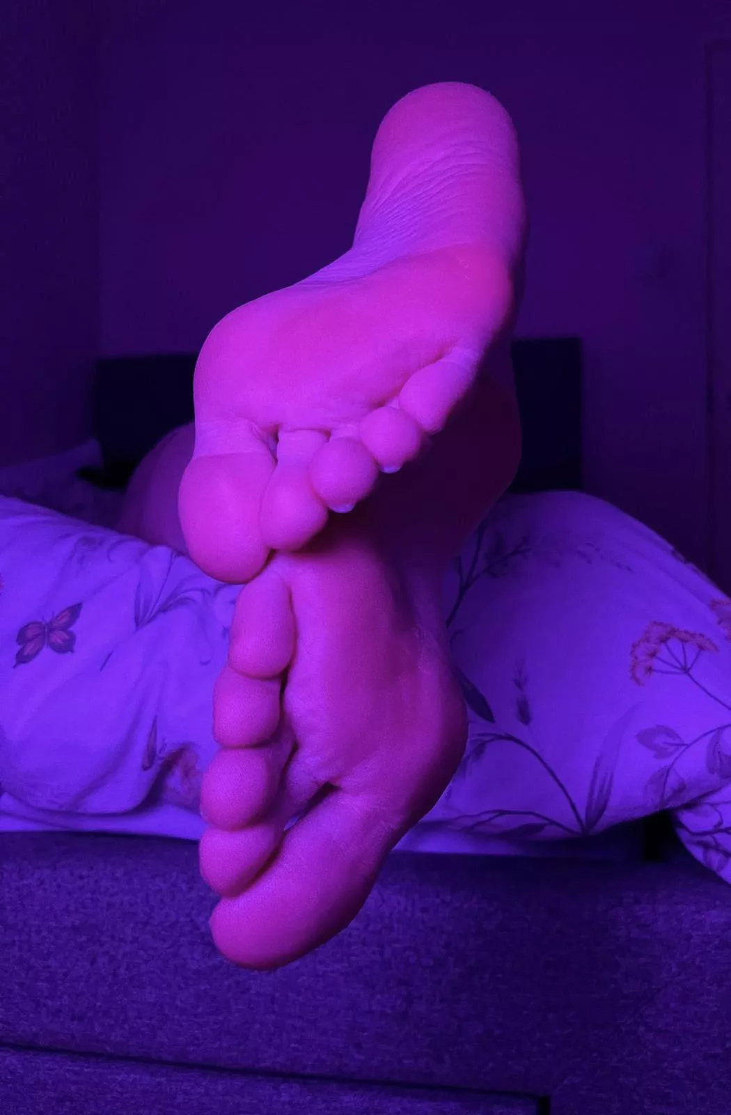 Bury your face in them