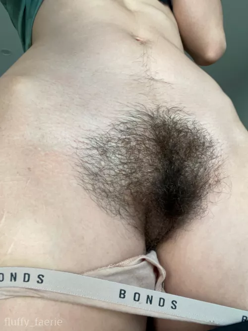 Bushy is best