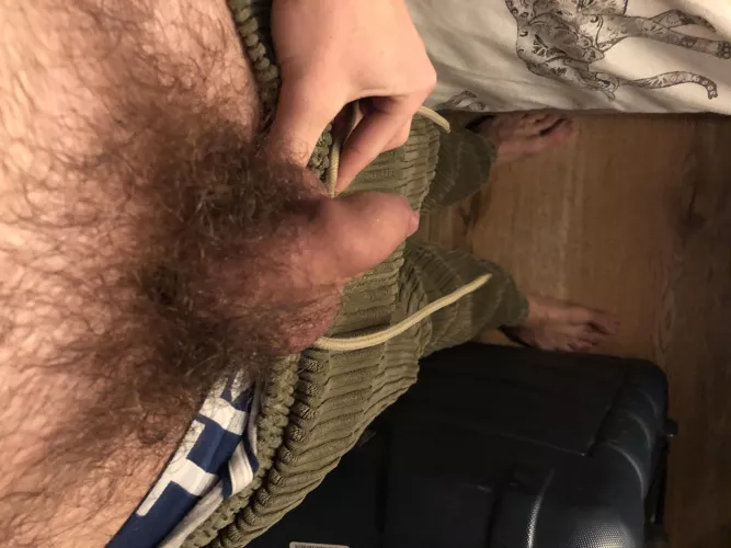 bushy uncut cock