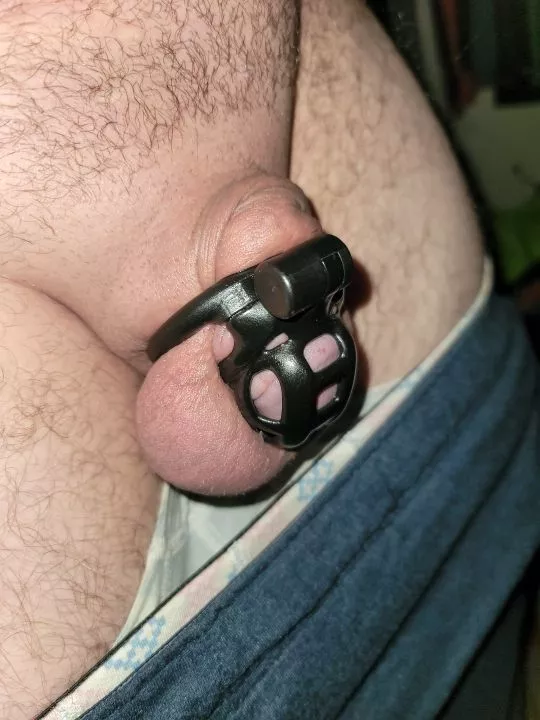 Cage photo check done for my Miss.