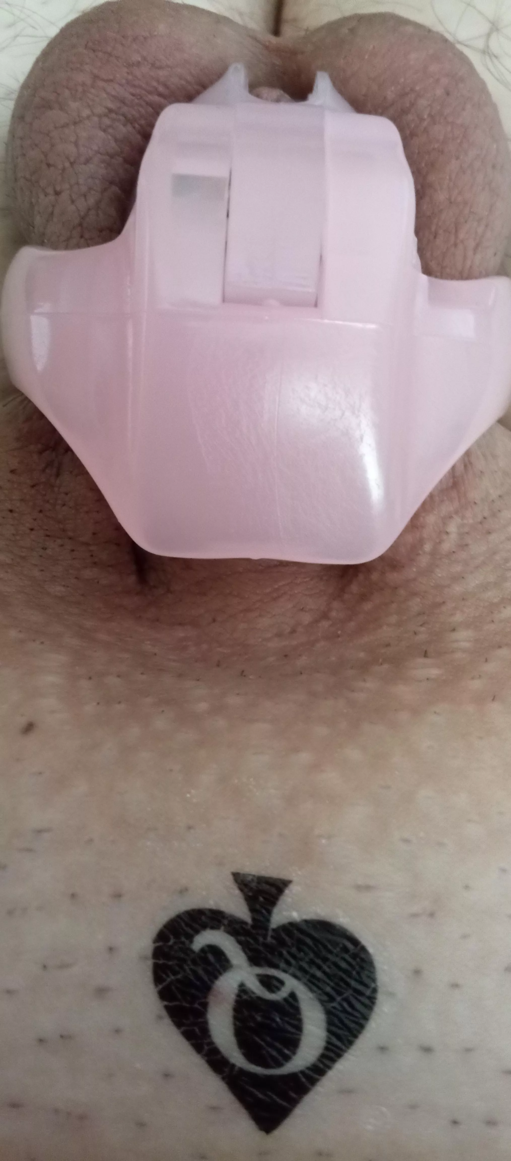Caged and marked like a good sissy! Caged and marked like a good sissy!