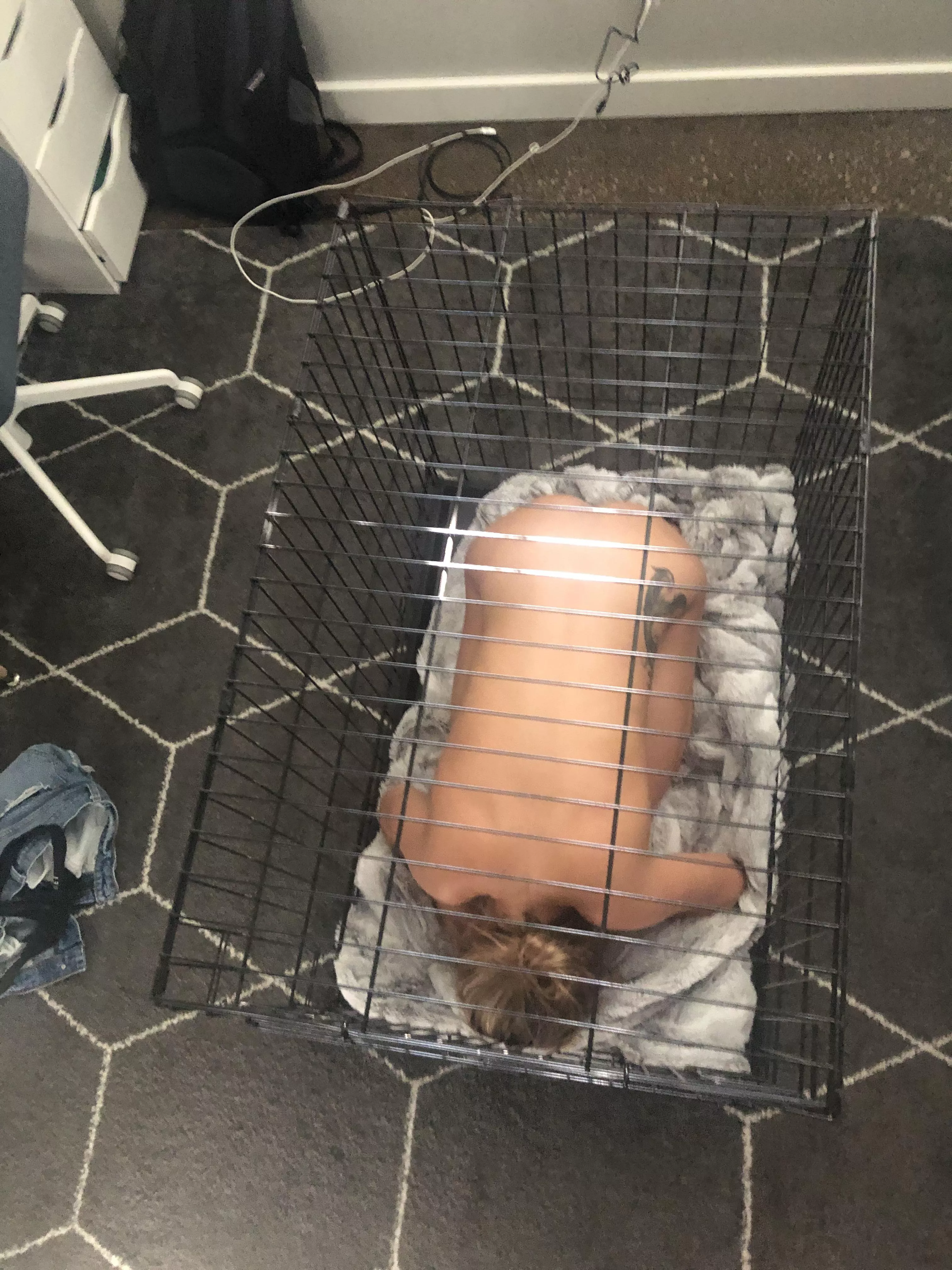 Caged…and in bliss