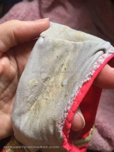 came in these 2 times today i love showing you all my panties makes me rly horny came in these 2 times today i love showing you all my panties makes me rly horny