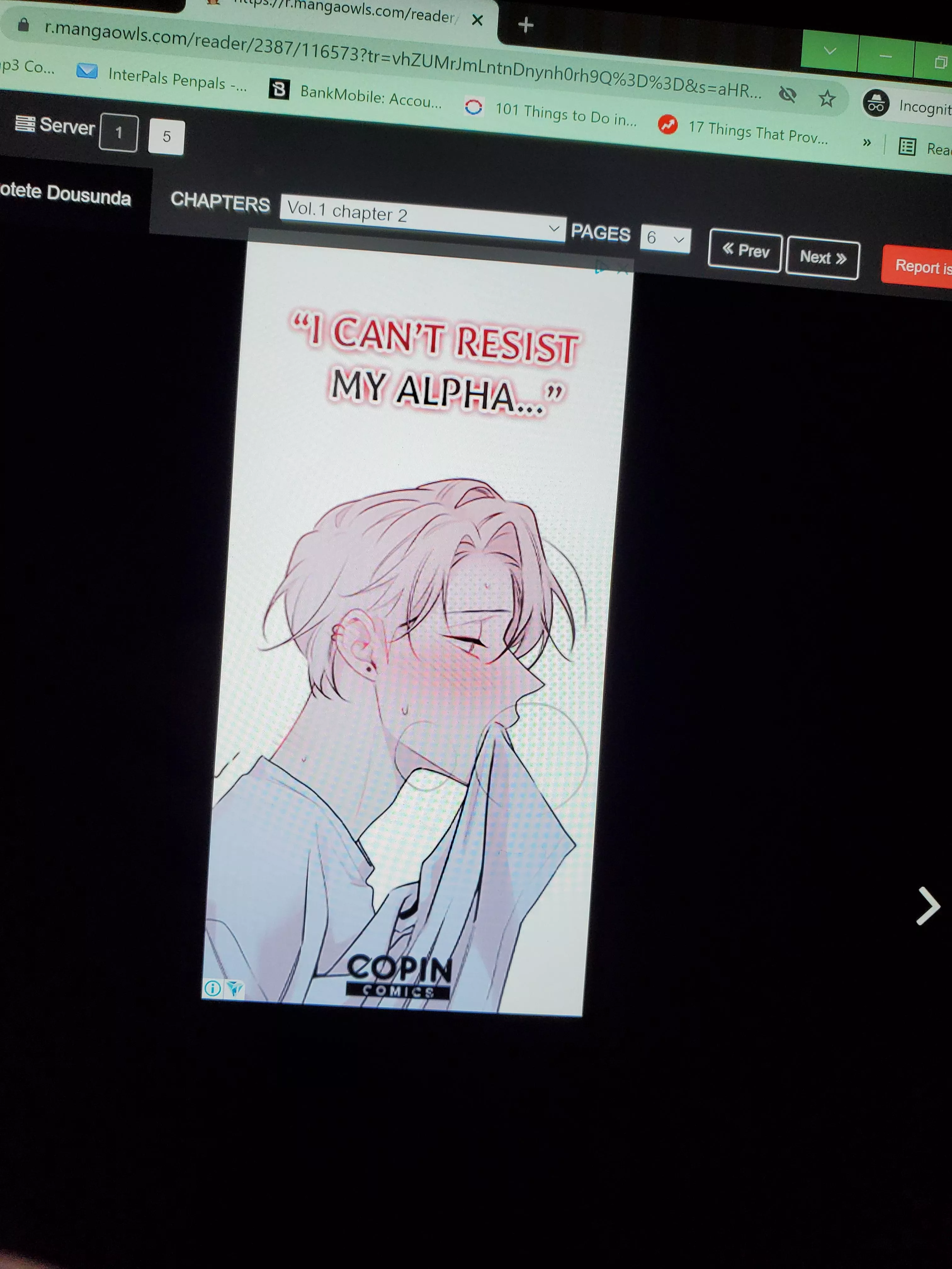 Can anybody tell me what webcomic this is from?? It was an ad from Copin comics but when I clicked on the site I couldn't find it 😤