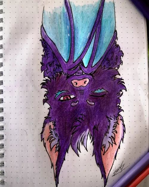 Can anyone help me with a name for this cute thing?