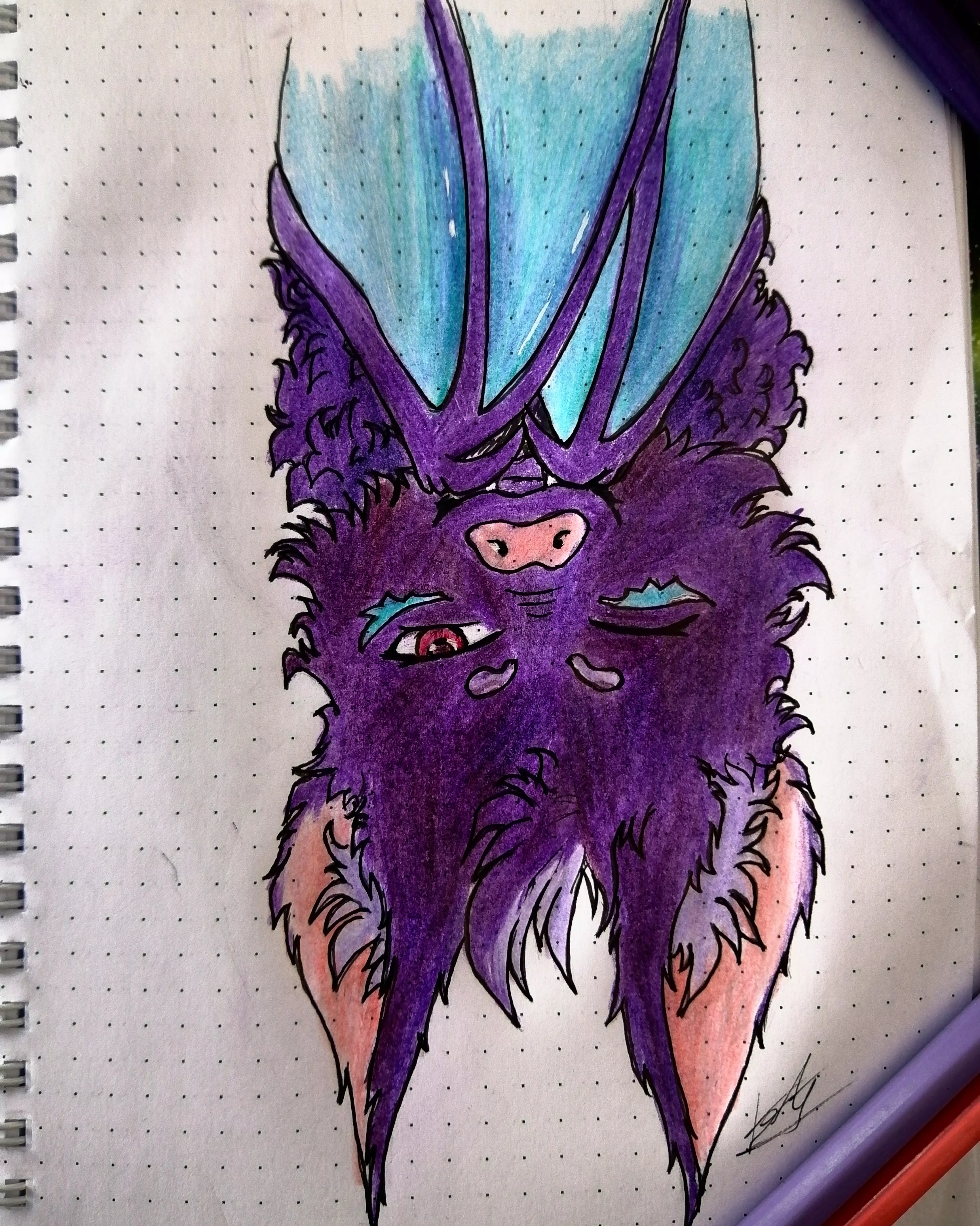 Can anyone help me with a name for this cute thing?