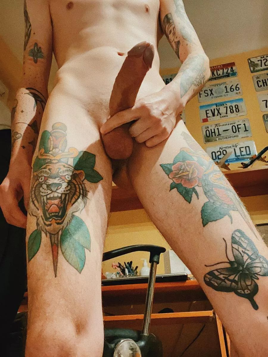 Can I be your flatmate?