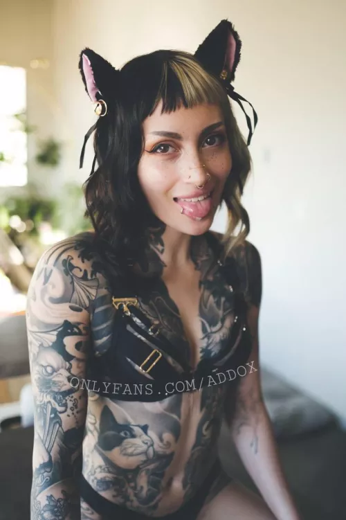 Can I be your kitten daddy