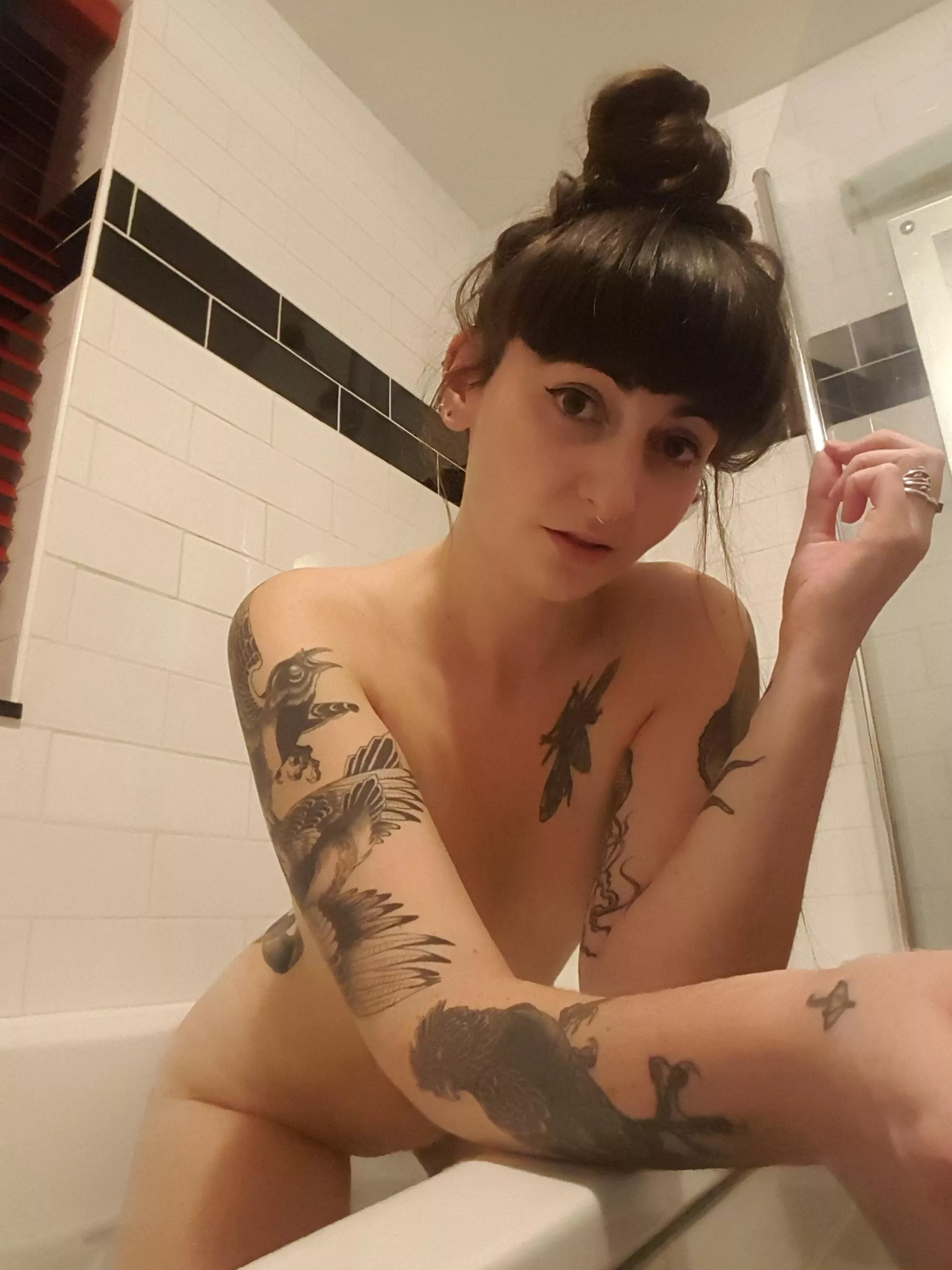 Can I persuade you to join me? Can I persuade you to join me?