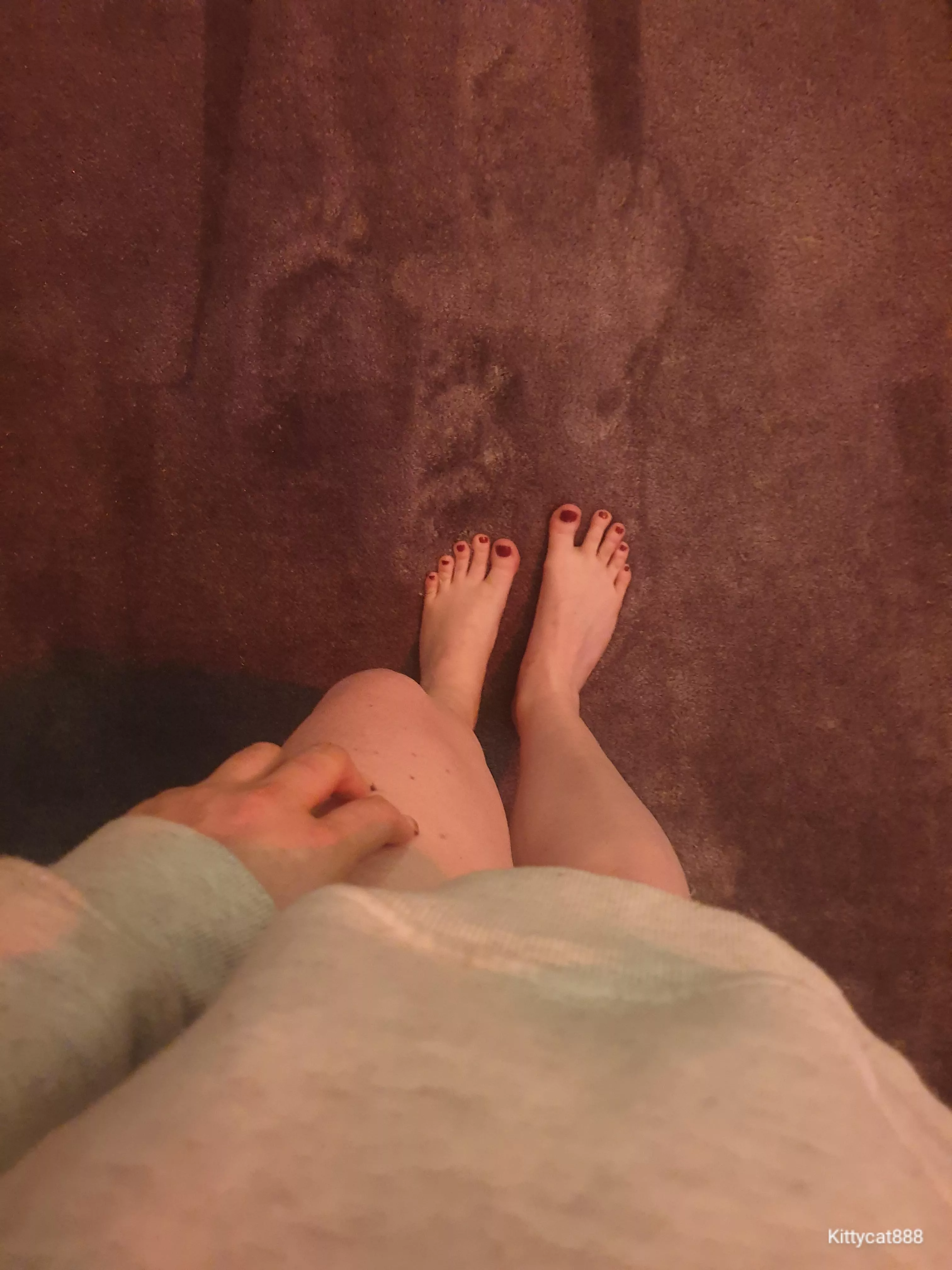 Can I step on you? 🤭