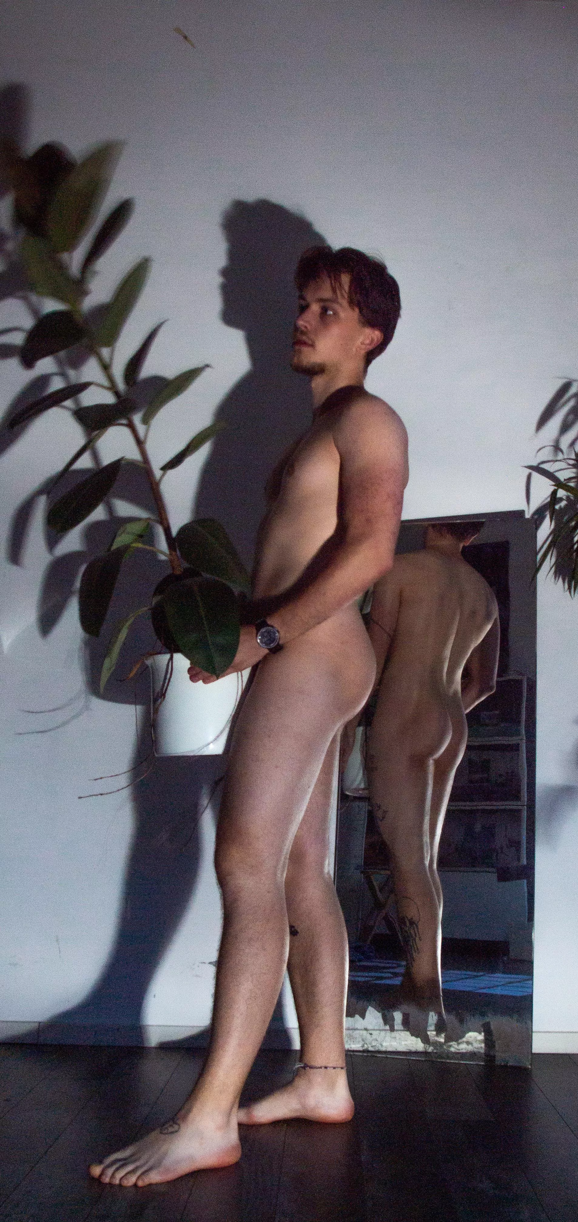 Can i take care of your plants?