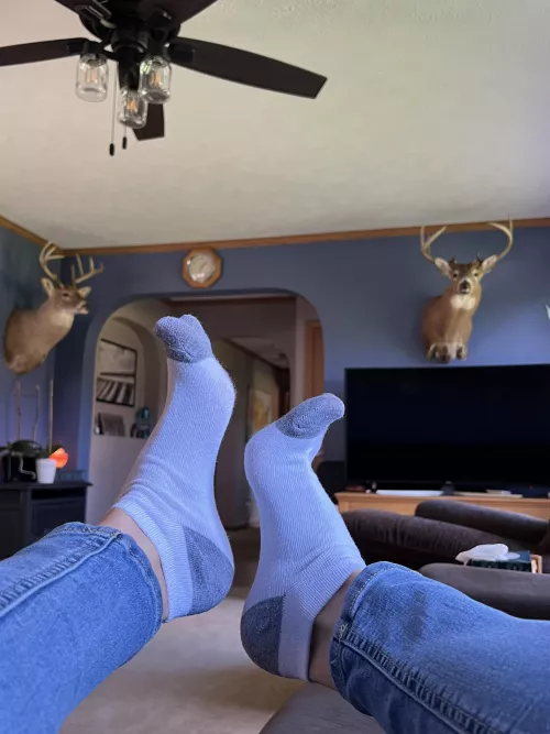 can i tell you a secret? i stuck these ankle socks down my pants, then i came by riding a pillow π€« they smell so good right now.