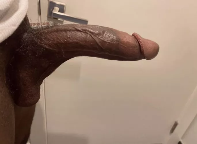 can it fit?
